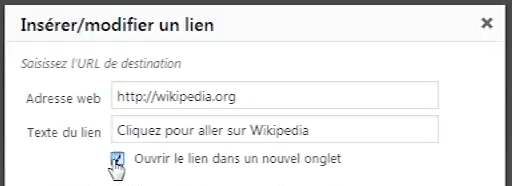options-lien-wordpress-nouvel-onglet-2