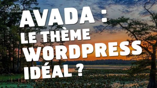 avada-theme-wordpress