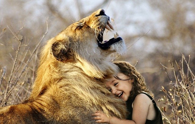 confiance